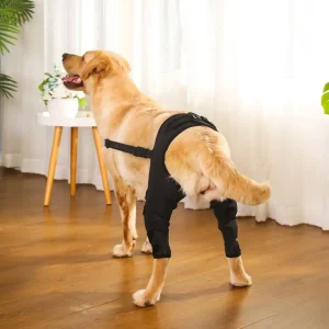 Cinta de Suporte para Patas de Cachorro