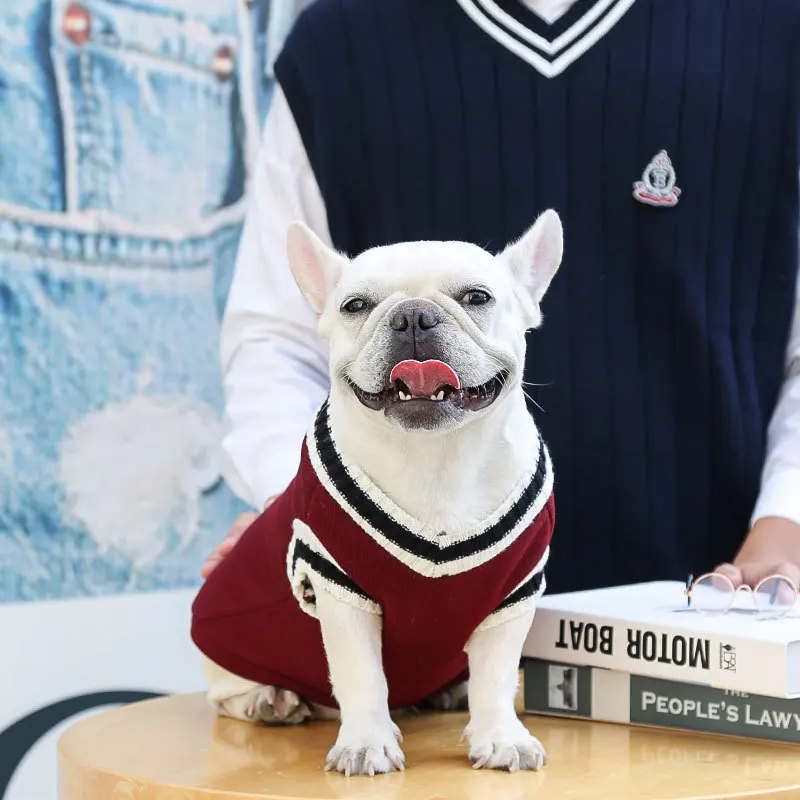 Colete Suéter Canino V-Neck – Estilo Preppy – Vestuário de Inverno para Cães e Gatos - Image 7