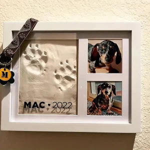 Kit DIY Moldura de Patinha