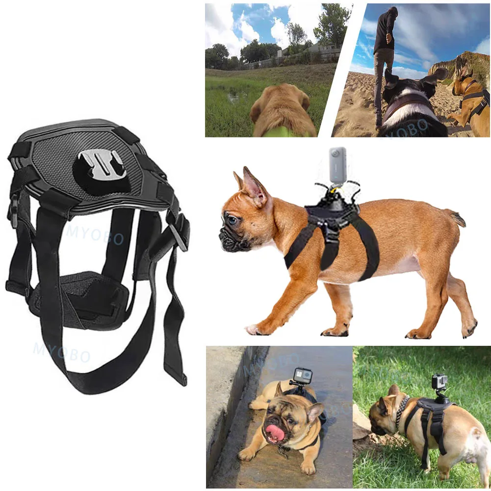 Peitoral Arnês com Suporte de Câmeras para Cães - Image 2