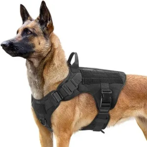 Peitoral Tático Militar para cães K7